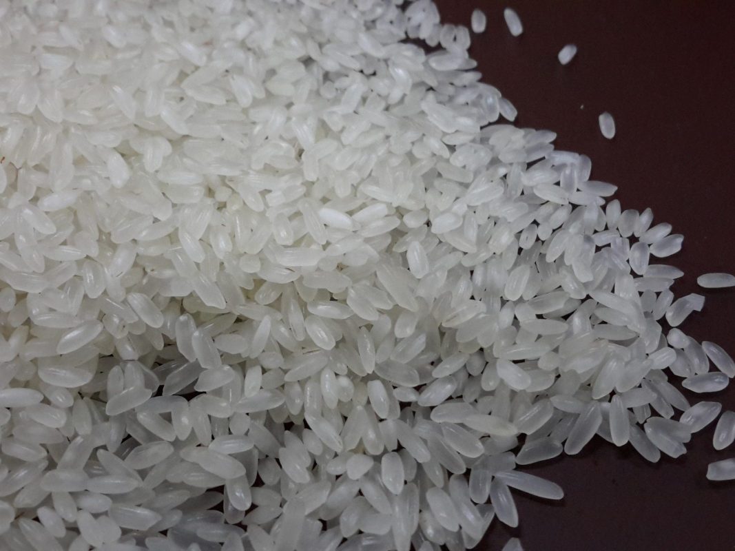 5.4mm Medium grain camolino rice