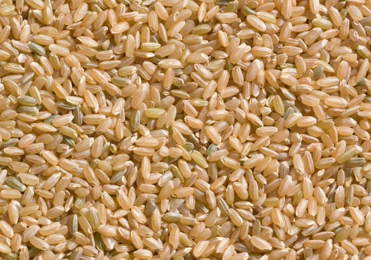 medium-grain-brown-rice-scaled